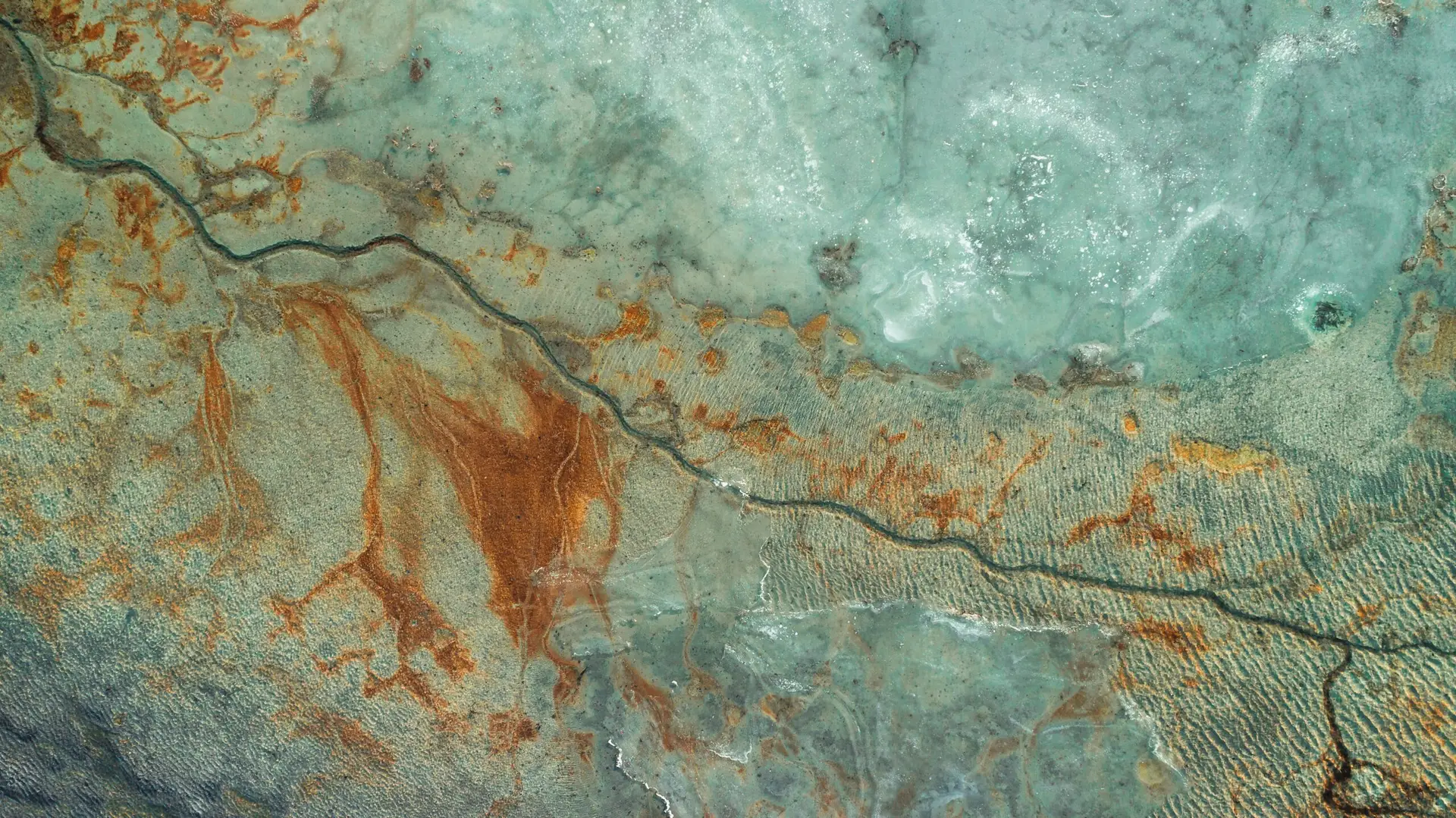 water damage repair tampa