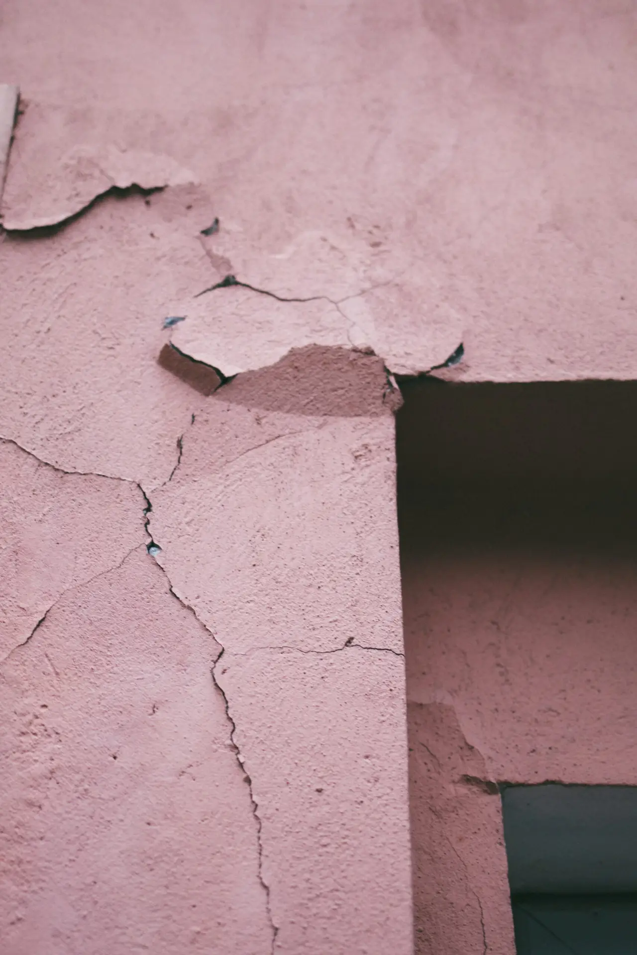 stucco contractors tampa fl